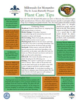plant care tips
