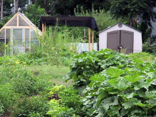 garden-sheds