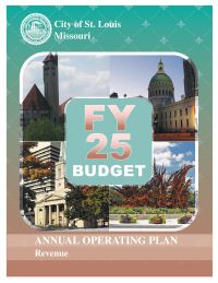 FY2025 Revenue Estimate cover