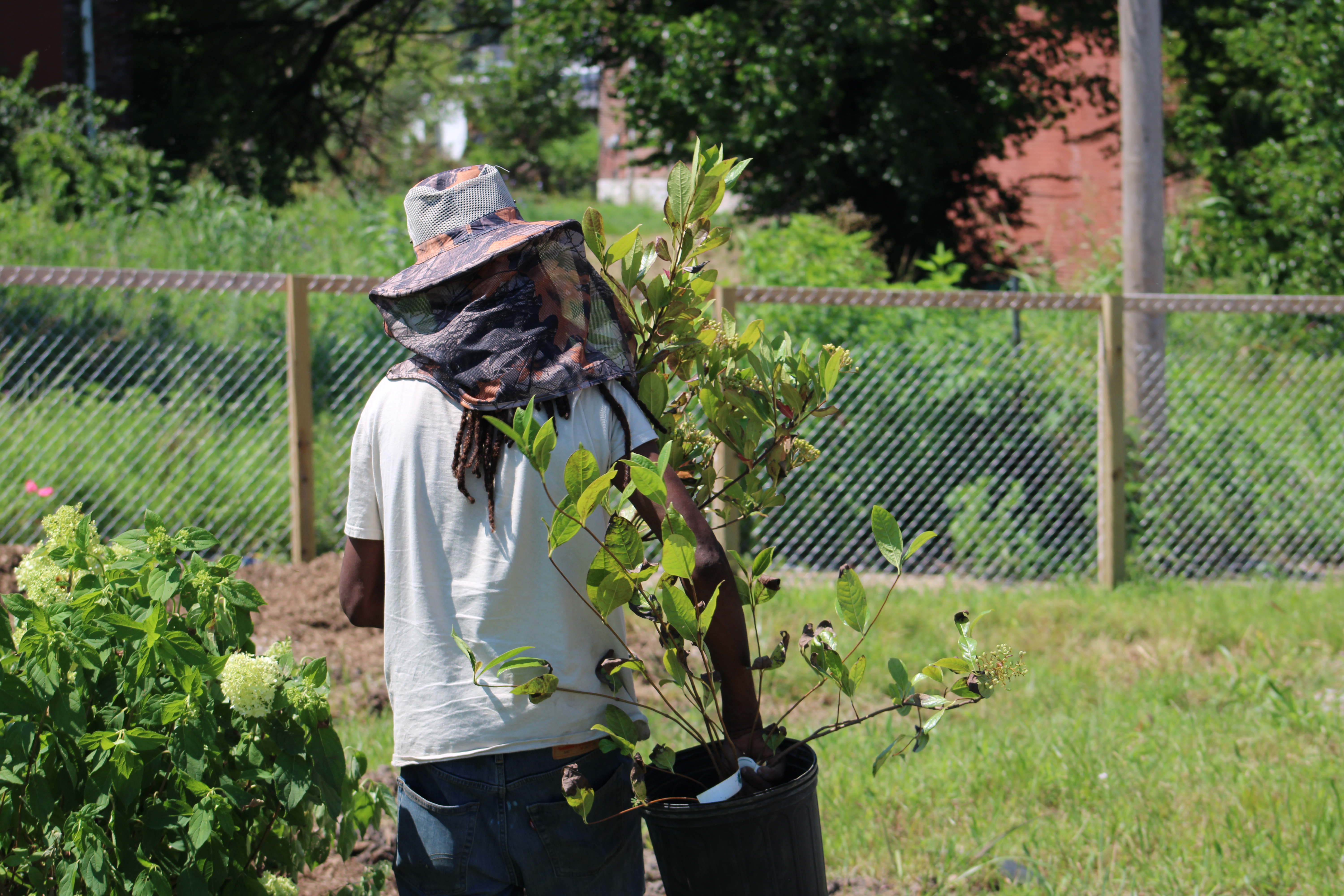 Team member carrying a new tree.