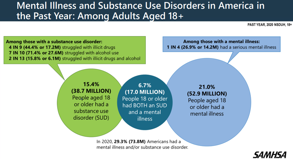 Mental Illness and Substance Use Disorders in America in the Past Year