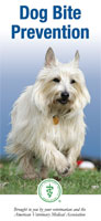 Dog Bite Prevention Brochure