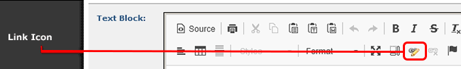 Formatted Text Block link icon