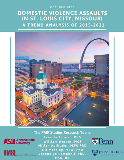 St. Louis City DV Report cover
