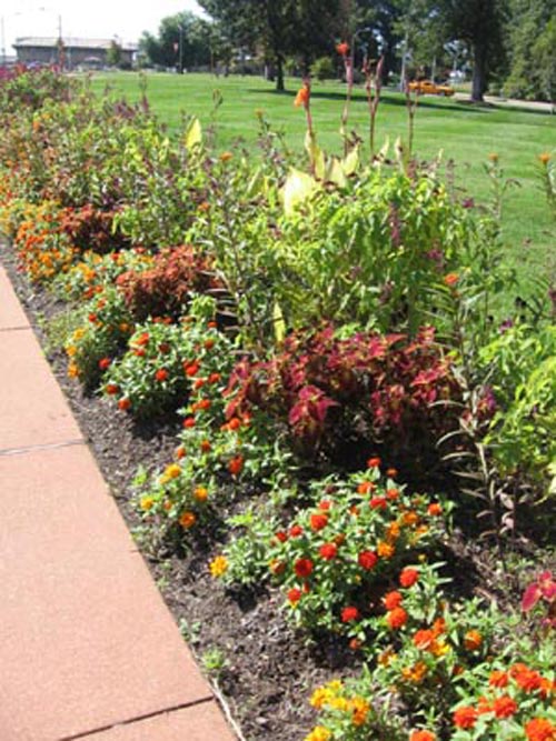 Summer Annual Display on Jewel Box grounds