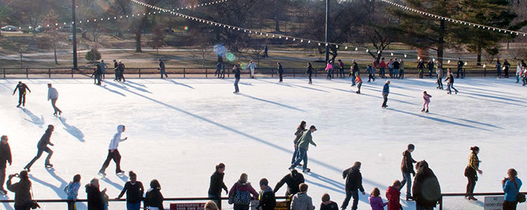 Steinberg Skating Rink