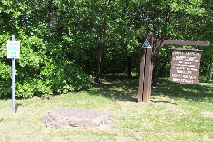 Picnic Grounds And Pavilions Forest Park Amenities City