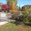 Landscaping in Greg Freeman Park