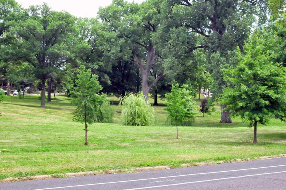 Wide landscape shot of Joseph Leisure Park