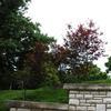 Landscaping in Benton Park