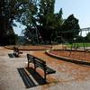 Swings in Buder Park