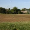 Eugene Bradley Park baseball field