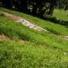 Stairs in Busche Park