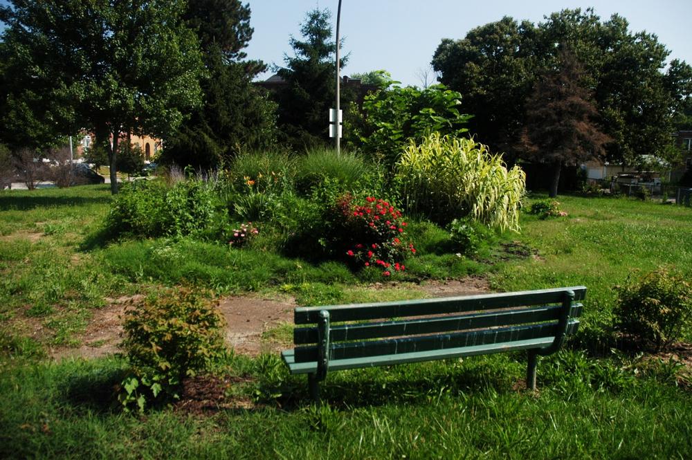 Bench and landscaping Carnegie Park