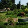 Bench and landscaping Carnegie Park