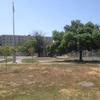 Wide view of Chambers Park with playground in distance