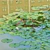 Lily Pond in Compton Hill Reservoir Park