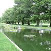 Francis Park