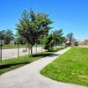 Ballfield at Norman Seay Park