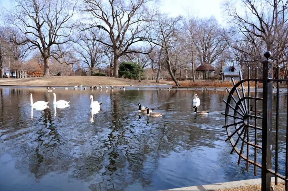 Lafayette Park Lake Lafayette Park City of St. Louis Parks