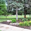 Lindenwood park landscaping