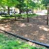 Lucas Gardens Park Swing Area