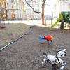 Lucas Gardens Park playground