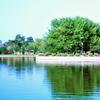 O'Fallon Park Lake