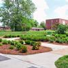 Ruth Porter Mall landscaping