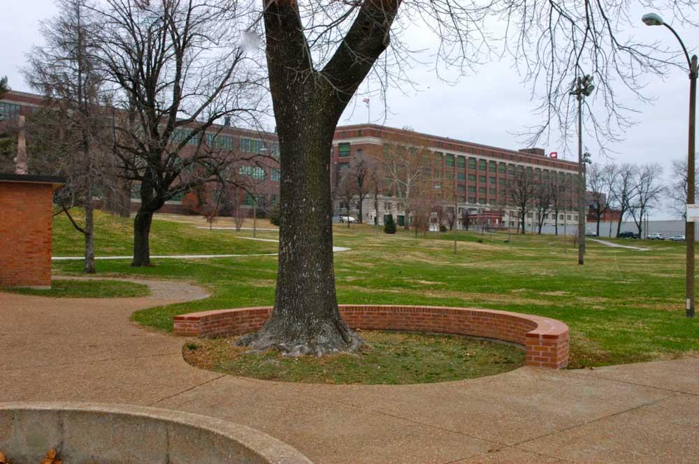 Wide view of Lyon Park