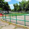 Tandy Park skating rink