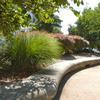 Circular walkway in park