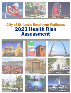 Health Risk Report 2023 cover