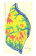 HistoricalMapOfStL1974CONTOUR_tn