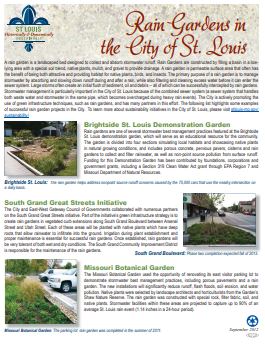 rain gardens in the city