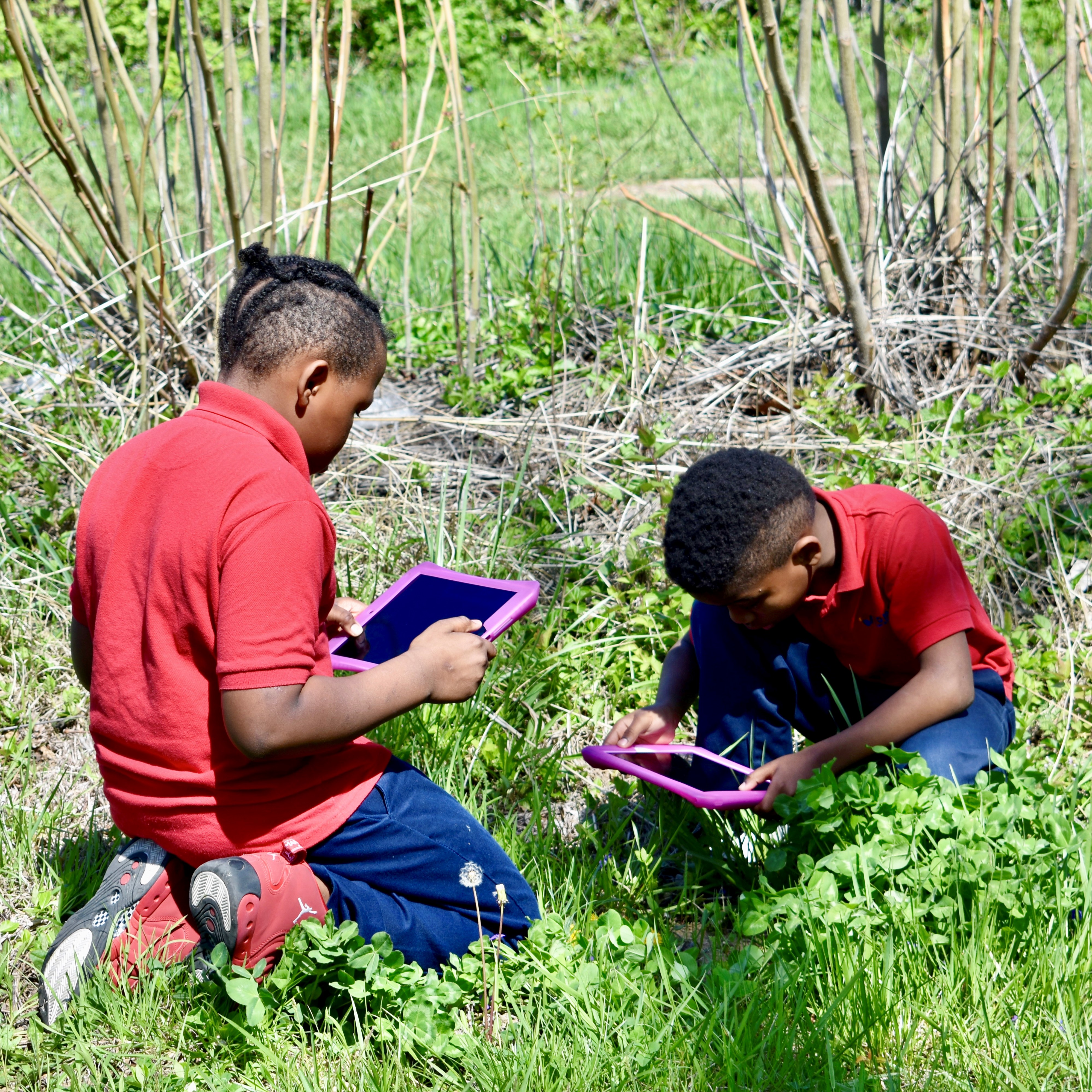 Werner Biome School