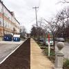 a single row of sidewalk now allows for trees and landscaping