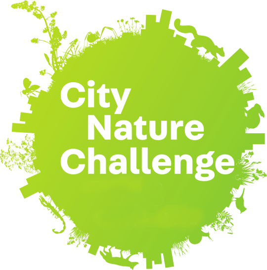 City Nature Challenge logo no year