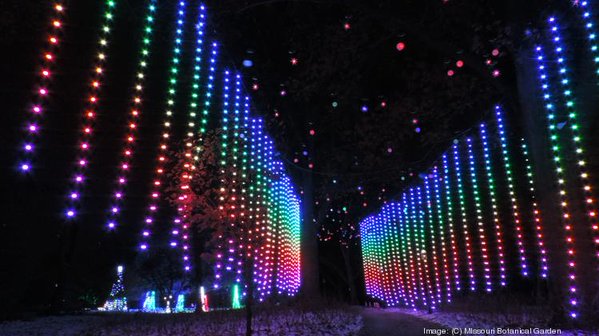 Scene from Garden Glow at the Missouri Botanical Garden