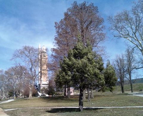 Compton Hill Reservoir Park - Grand and Russell