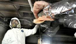 Insulators and Asbestos Training 