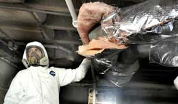 Insulators and Asbestos Training