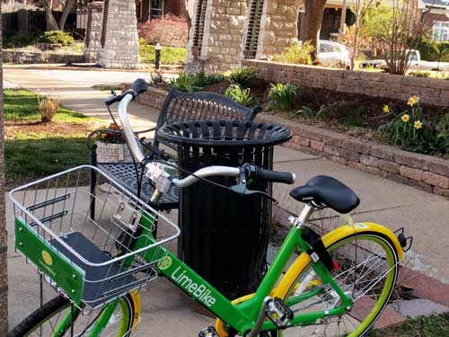 lime Bike By bus Stop