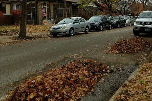shows leaves raked 18 inches from the curb