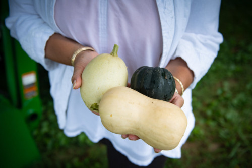 Woman's hand holding three types of fresh squash