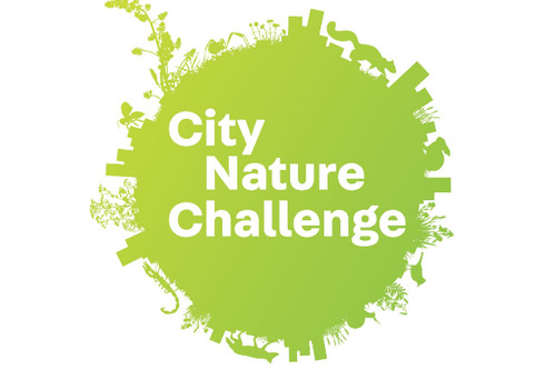 City Nature Challenge logo small City Nature Challenge