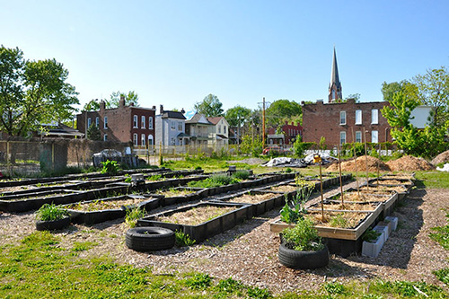 Community garden plots