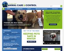 ACCwebsite