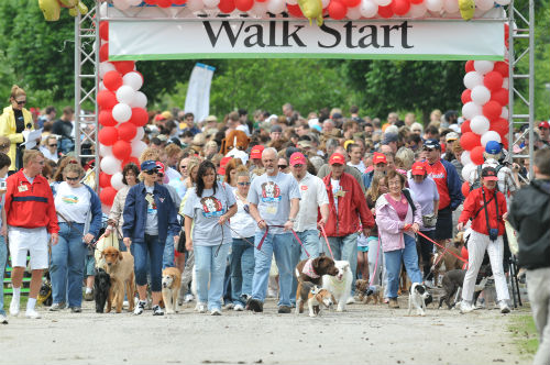 Bark in the Park - Walk Start 