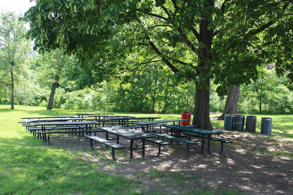 Picnic Ground 4 Forest Park City of St. Louis Parks
